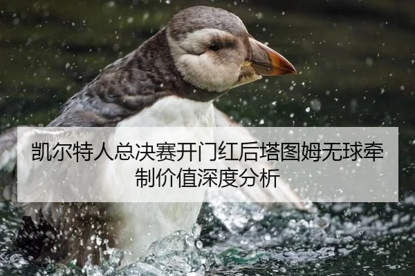 凯尔特人总决赛开门红后塔图姆无球牵制价值深度分析